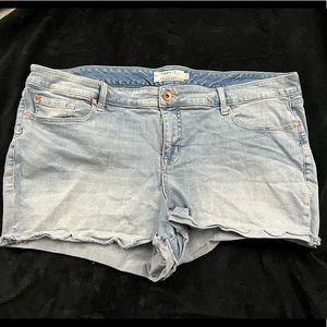 Torrid short jean shorts.